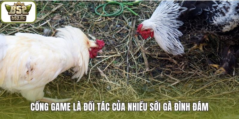 Cổng game là đối tác của nhiều sới gà đình đám