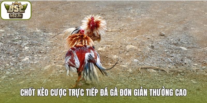Chốt kèo cược Trực tiếp đá gà đơn giản thưởng cao